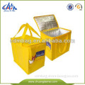 cheap nonwoven shopping cooler bag